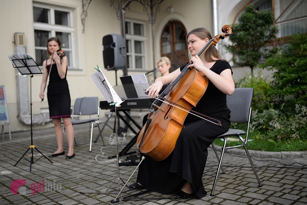 Близько ста музикантів провели у Львові безкоштовні концерти
