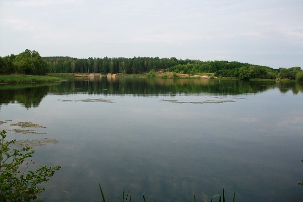 Вода у водоймах Львова брудна