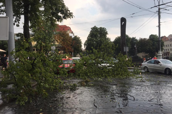 На Львів налетіла буря. Повалені дерева і зірвані дахи (Відео)