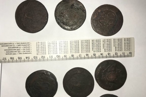 На кордоні у Шегинях вилучили старовинні монети