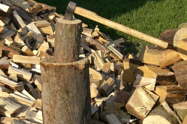 На львівських підприємствах є надлишок деревини для населення