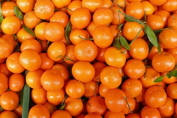 На Львівщину намагались провезти понад 20 тонн заражених мандарин