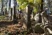 Польські реставратори відновлять старовинні надгробки у Дрогобичі