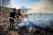 На Львівщині через пожежу сухостою загинув літній чоловік