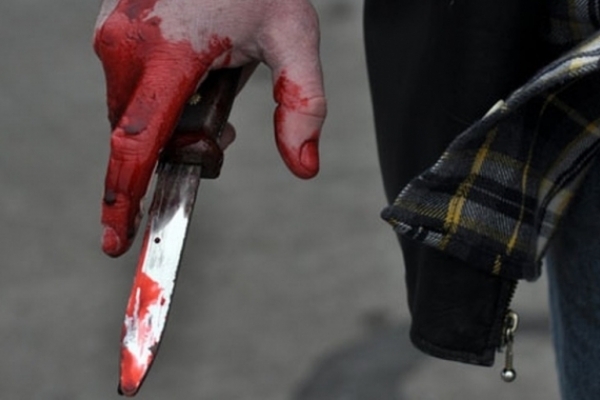 У Львові смертельні ножові поранення отримала 64-річна жінка