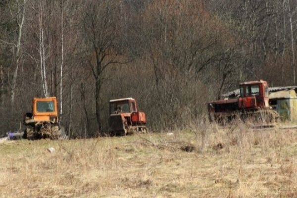 Лісника оштрафували на 7 000 гривень за вирубку лісу на Львівщині
