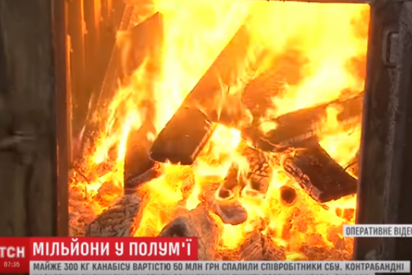 У Львові спалили майже триста кілограмів канабісу