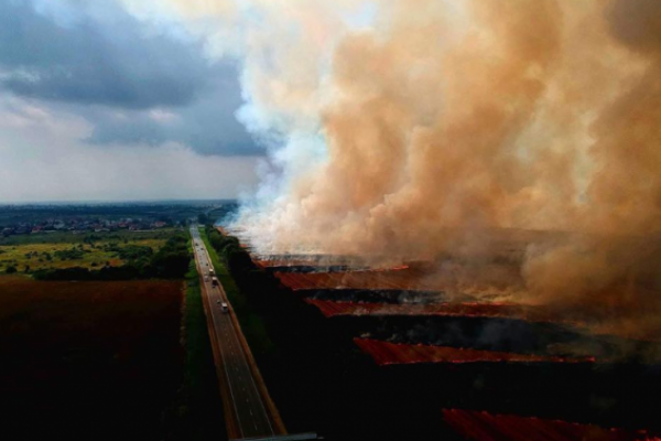 Густий дим наближається до Львова (Відео)