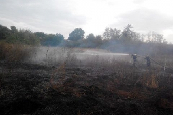 На Львівщині депутата спіймали на спалюванні трави