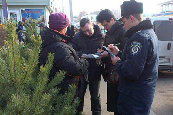 На Львівщині штрафуватимуть за незаконну зрізку хвойних дерев