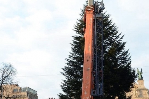 У Львові встановлюють 20-метрову ялинку мешканки Яворівщини