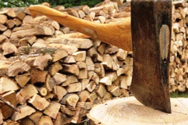 На Львівщині під час заготівлі дров загинув 18-річний юнак