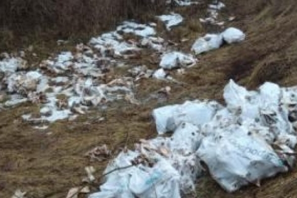 На Львівщині екологи вдруге за тиждень виявили звалище мішків із рештками тварин