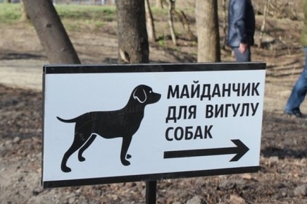 Львів’ян, які не прибирають за своїми собаками, почнуть штрафувати