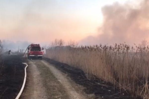 На Львівщині ліквідували пожежу на звалищі