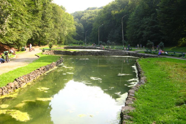 У водоймах Скнилівського парку Львова, виявили високий вміст забруднюючих речовин