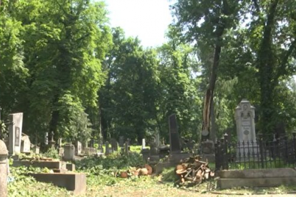 У Львові буревій повалив 70 пам'ятників на Личаківському кладовищі (Фото)