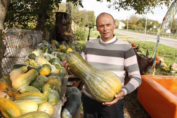 На Львівщині вирощують гібрид кавуна і гарбуза – кавбуз (Фото)