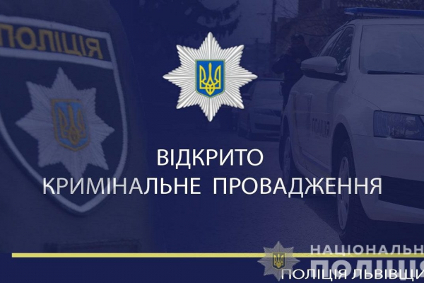 У Львові чоловік побив поліцейських: тепер зловмиснику грозить ув'язнення