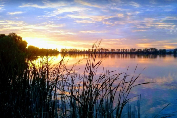 ТОП-13 озер Львівщини, де можна безпечно купатися
