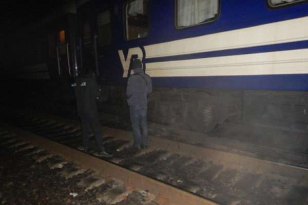 На Львівщині потяг збив жінку