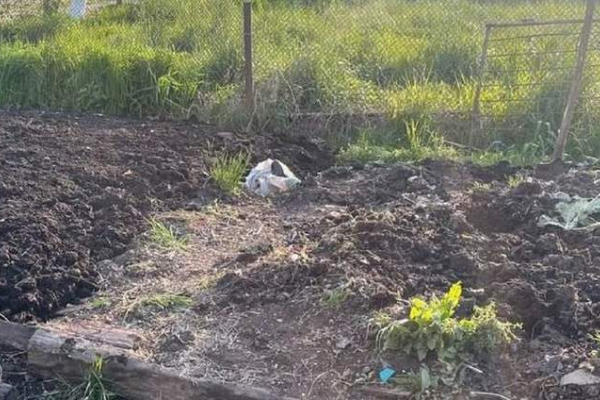 На Львівщині чоловік вбив сусіда та закопав труп на городі