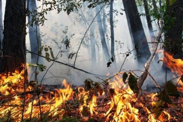Жителів Львівщини попереджають про пожежну небезпеку