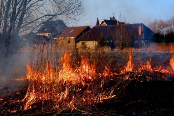 Синоптики попередили про надзвичайний (5-й клас) пожежної небезпеки на Львівщині