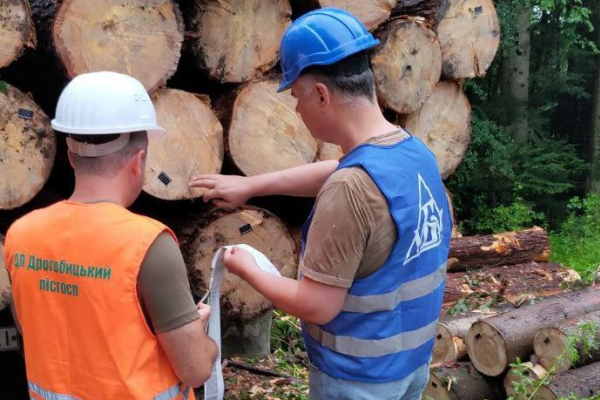 Агенти УУБ здійснили перевірку відвантаження реалізованої необробленої деревини на Львівщині