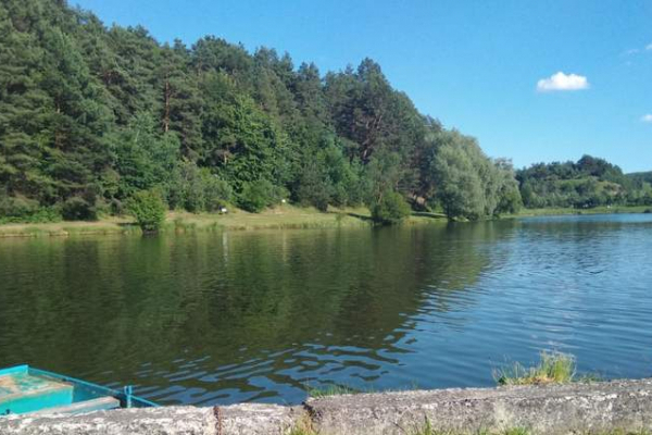 На Львівщині в озері втопився підліток