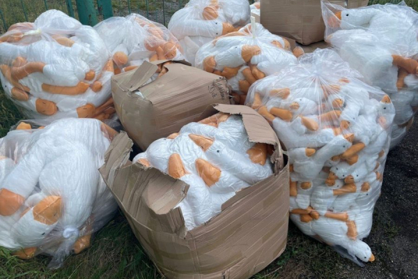 На кордоні з Польщею затримали 1500 контрабандних гусей