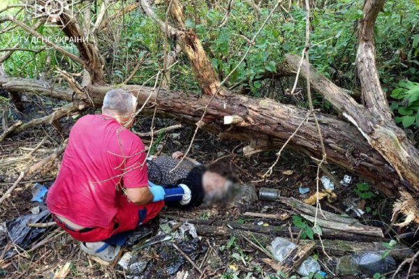 На Львівщині пожежні врятували поранену пенсіонерку з-під поваленого дерева
