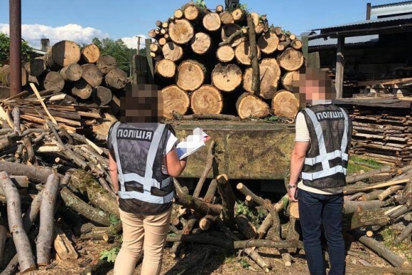 На Львівщині два брати зі спільником вирубали ліс у нацпарку на понад 2 млн грн