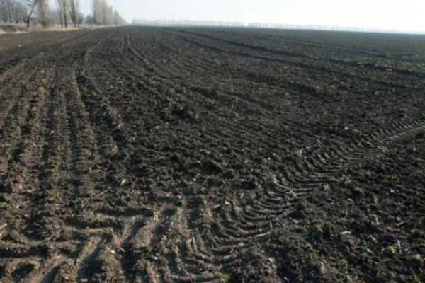 На Львівщині  у росіян конфіскували майже 2 га землі