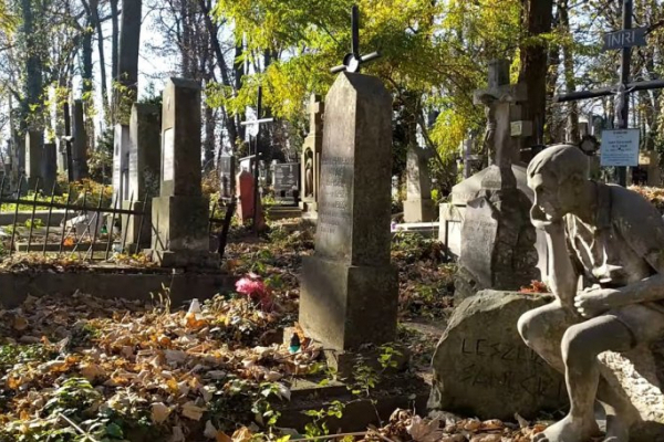 Польські реставратори відновлять старовинні надгробки у Дрогобичі