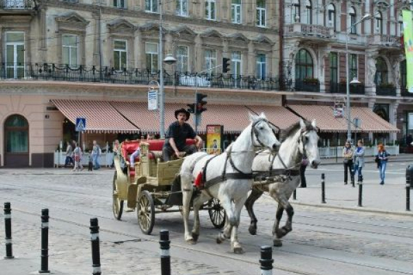 У Львові тимчасово заборонили використання коней в центрі міста