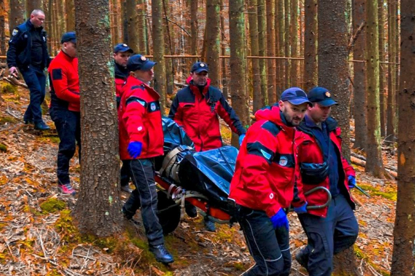 Нна Франківщині під час збирання грибів помер житель Львівщини