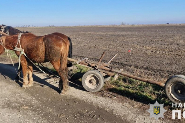 На Львівщині чоловік загинув внаслідок перекидання підводи