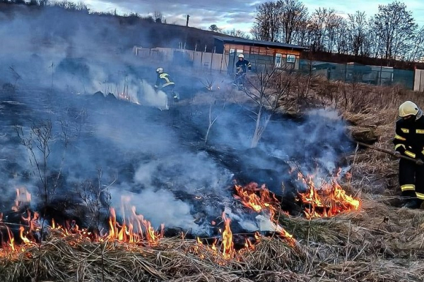 За добу на Львівщині надзвичайники ліквідували 18 пожеж сухої трави