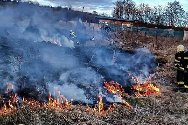 На Львівщині за добу згоріло 13 тисяч м.кв. сухостою