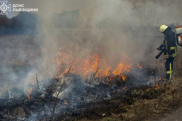 Унаслідок спалювання сухої трави в селі на Львівщині постраждала пенсіонерка