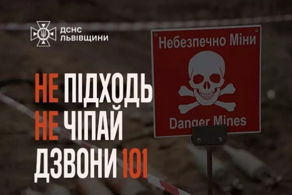 На Львівщині виявили та знешкодили мінометні міни з Другої світової