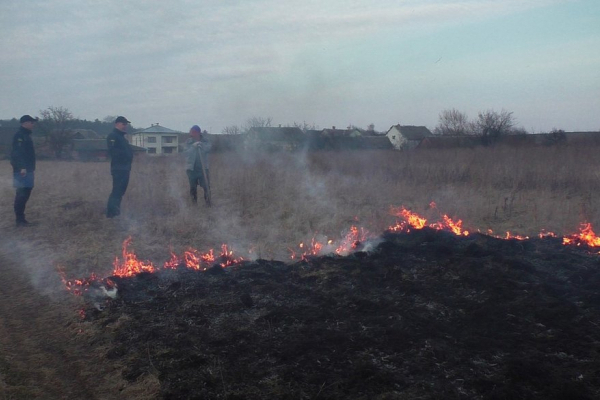 За тиждень на Львівщині 51 людині виписали штраф за спалення сухої трави